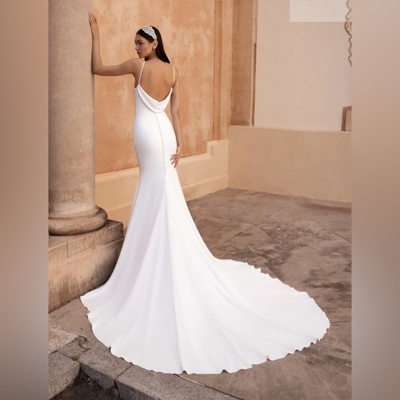 Pronovias Antiope Wedding Dress - Picture 9 of 11